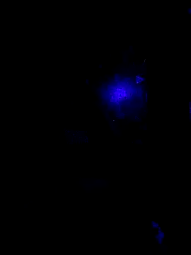 Snapshot of johnboones10 chatting on 10/22/25, 09:42 johnboones10 online show from 10/22/25, 09:42