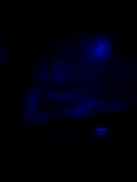 Snapshot of johnboones10 chatting on 11/16/25, 08:31 johnboones10 online show from 11/16/25, 08:31