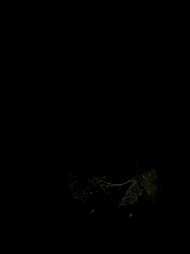 Adele Pinkk online show from 10/07/25, 12:02