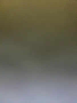 Adele Pinkk online show from 10/14/25, 12:50