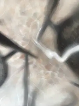 Adele Pinkk online show from 10/21/25, 12:28