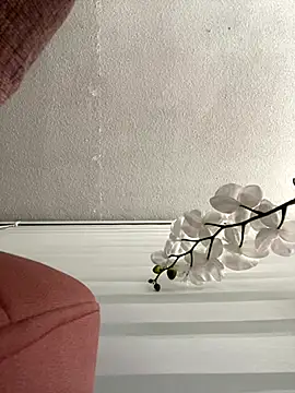 Snapshot of Adele_Pinkk chatting on 11/03/25, 11:33 Adele Pinkk online show from 11/03/25, 11:33