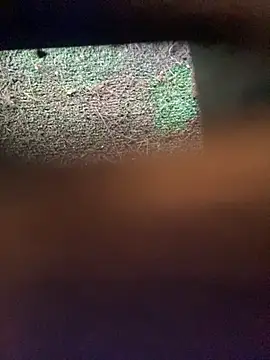 Snapshot of Adele_Pinkk chatting on 11/12/25, 12:16 Adele Pinkk online show from 11/12/25, 12:16