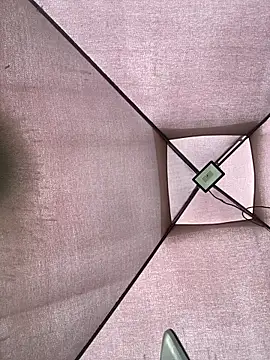 Snapshot of Adele_Pinkk chatting on 11/24/25, 12:27 Adele Pinkk online show from 11/24/25, 12:27