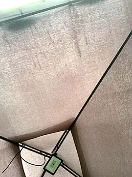 Snapshot of Adele_Pinkk chatting on 11/26/25, 12:50 Adele Pinkk online show from 11/26/25, 12:50