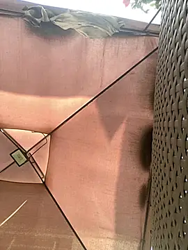 Snapshot of Adele_Pinkk chatting on 11/29/25, 11:57 Adele Pinkk online show from 11/29/25, 11:57