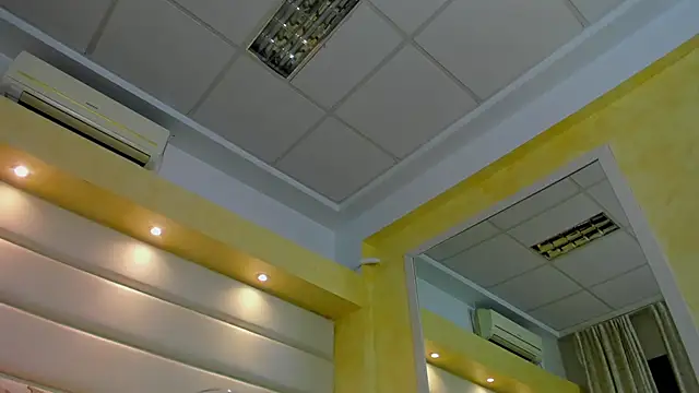 Jelly Bee online show from 11/18/25, 08:46