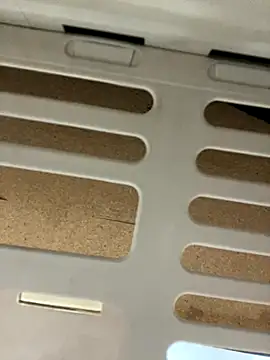 fitsexyman online show from 11/17/25, 12:33