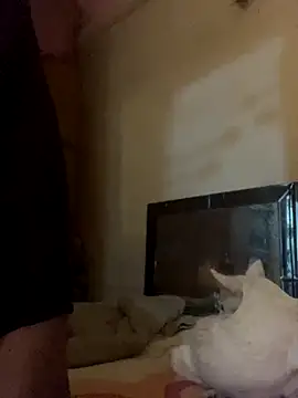 Snapshot of Kajal-Shemale69 chatting on 11/17/25, 07:36 Kajal-Shemale69 online show from 11/17/25, 07:36