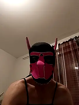 Puppydog33 online show from 10/29/25, 08:54