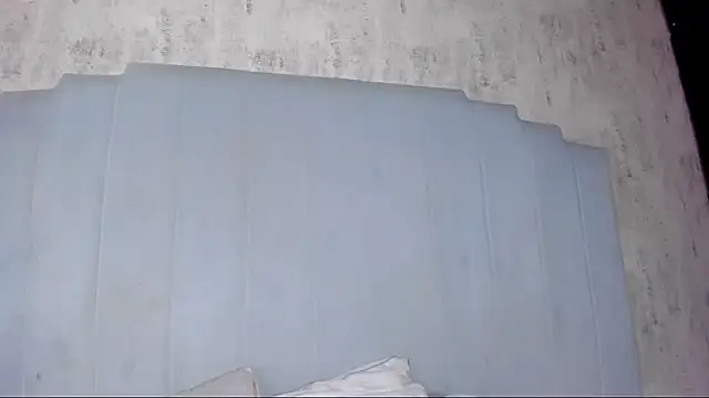 shanty cole online show from 07/11/26, 12:19