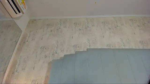 shanty cole online show from 07/12/26, 12:40