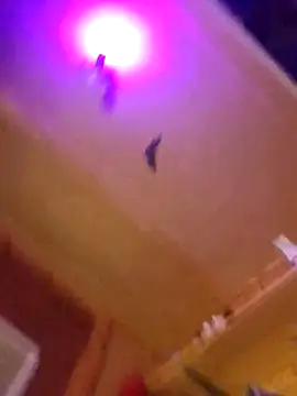 Snapshot of Dirty_D187 chatting on 10/10/25, 05:50 Dirty D187 online show from 10/10/25, 05:50