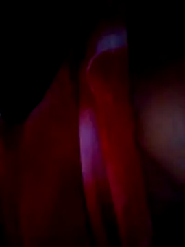 H seema online show from 12/15/25, 12:20