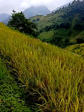 samsam-bae online show from 09/14/25, 06:23