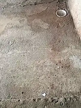 Snapshot of Rahul_Razz chatting on 10/06/25, 01:58 Rahul Razz online show from 10/06/25, 01:58