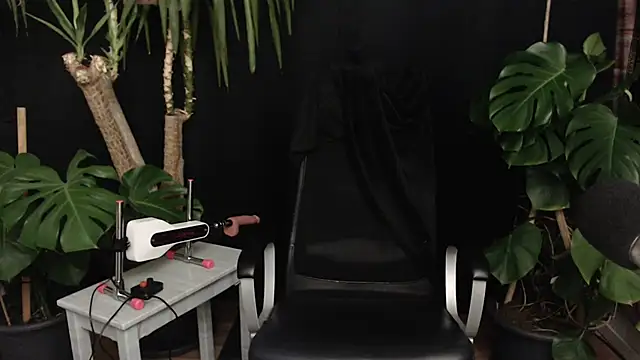 lola skyxh online show from 11/16/25, 08:14