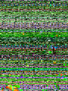 honey fern1 online show from 09/18/25, 03:41
