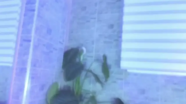 Snapshot of SophiaBloss chatting on 11/22/25, 12:26 SophiaBloss online show from 11/22/25, 12:26