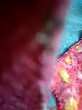 Snapshot of Sharmili_xx chatting on 09/25/25, 08:23 Sharmili xx online show from 09/25/25, 08:23