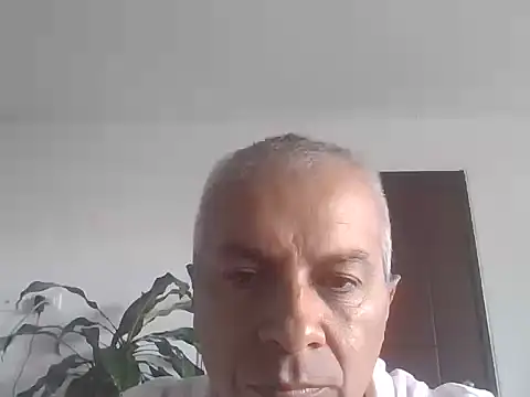 Snapshot of ALFRERM chatting on 10/12/25, 07:35 ALFRERM online show from 10/12/25, 07:35