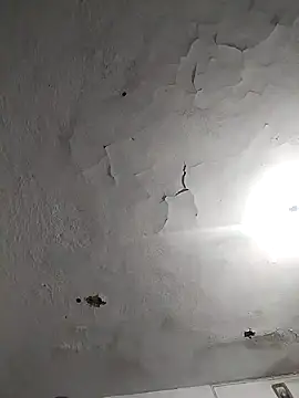 Ferxxxo1503 online show from 11/08/25, 07:41