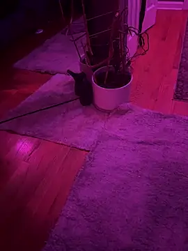 twunkwitadunk online show from 11/22/25, 03:22