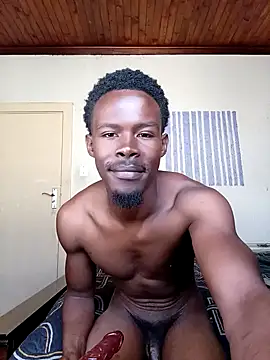 donchico0 online show from 11/05/25, 07:41