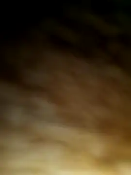 WolfMenSL online show from 10/08/25, 03:37