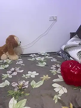 Snapshot of vinushi chatting on 02/19/26, 05:47 vinushi online show from 02/19/26, 05:47