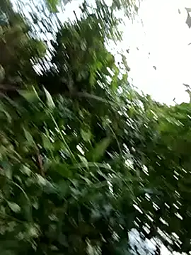 -Xuka-200 online show from 10/20/25, 09:54