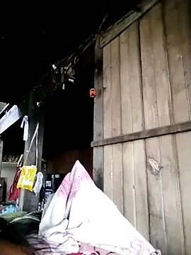 Samdim23 online show from 10/02/25, 02:29