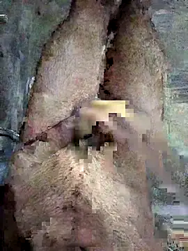 ash706339 online show from 09/19/25, 06:52