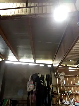 SSexykute3456 online show from 10/04/25, 03:15