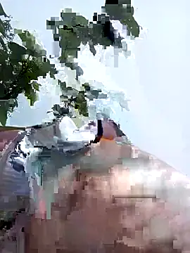 bonnie-00 online show from 05/06/26, 02:29