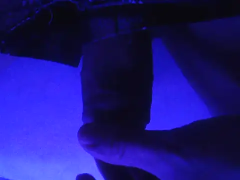 novinzs019 online show from 09/13/25, 05:29