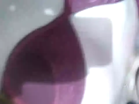 Snapshot of Cachorrinha2025 chatting on 09/21/25, 07:54 Cachorrinha2025 online show from 09/21/25, 07:54