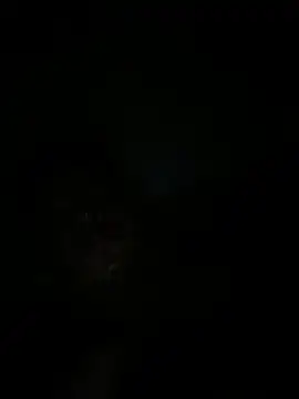 RangingWarranty online show from 10/20/25, 07:20