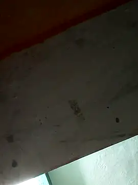 Snapshot of Sort_xr12 chatting on 12/17/25, 02:56 Sort xr12 online show from 12/17/25, 02:56