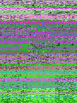 Snapshot of MaddyX__ chatting on 11/15/25, 07:21 MaddyX online show from 11/15/25, 07:21