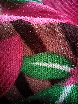 bold guy 1234 online show from 10/15/25, 05:07