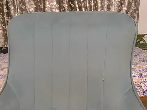 Snapshot of alaviya-19 chatting on 11/12/25, 04:24 alaviya-19 online show from 11/12/25, 04:24