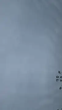 Snapshot of lulu5211 chatting on 10/26/25, 09:37 lulu5211 online show from 10/26/25, 09:37