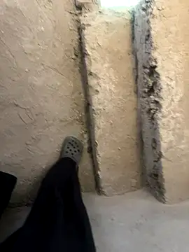 Prtkkk online show from 11/20/25, 03:50