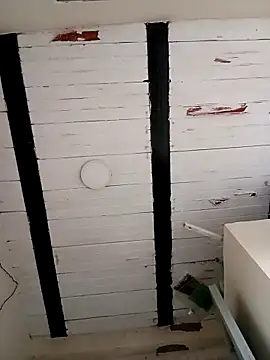 zamir adam online show from 10/27/25, 01:26