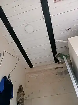 zamir adam online show from 10/31/25, 11:55