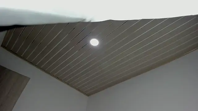 Snapshot of evelynrojas chatting on 09/18/25, 08:00 evelynrojas online show from 09/18/25, 08:00