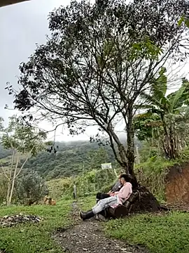 Snapshot of sky-wolves chatting on 10/18/25, 04:19 sky-wolves online show from 10/18/25, 04:19