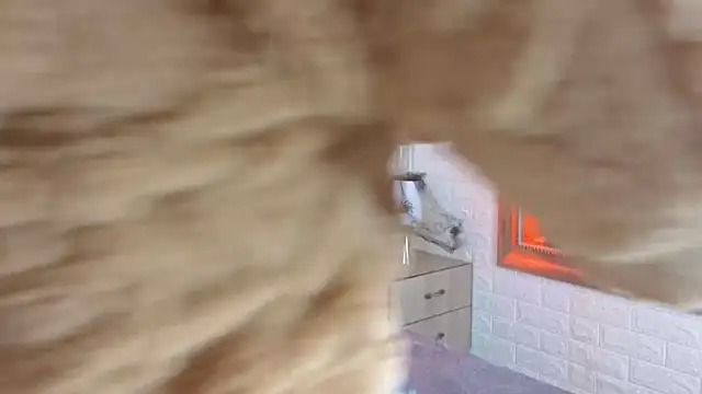 Snapshot of sofiagutierrez__ chatting on 10/09/25, 03:04 sofiagutierrez   online show from 10/09/25, 03:04