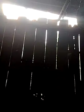 Snapshot of donna-bae chatting on 10/10/25, 11:04 donna-bae online show from 10/10/25, 11:04